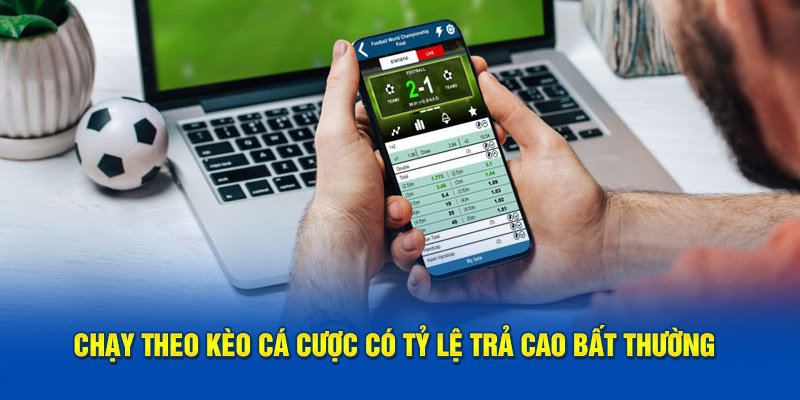 Chạy theo kèo cá cược có tỷ lệ trả cao bất thường