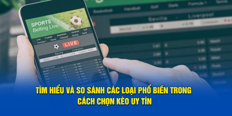 Tìm hiểu và so sánh các loại phổ biến trong cách chọn kèo uy tín